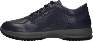 IgI&CO Sneaker 1614011