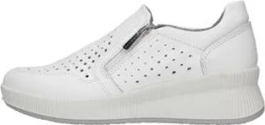 IgI&CO Turnschuhe 1653900
