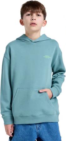 Element Hoodie "Skateboard Co"