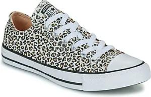 Converse Sneaker CHUCK TAYLOR ALL STAR