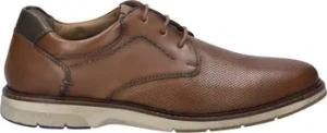 Josef Seibel  Halbschuhe Stuart 02, camel-kombi