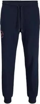 Jack & Jones Hosen -