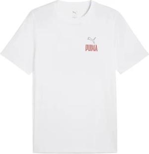 PUMA T-Shirt "Road To Unity T-Shirt mit Grafik Herren"