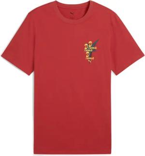PUMA T-Shirt "ROAD TO UNITY Graphic T-Shirt Herren"