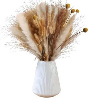 Trockenblume Pampasgras Getrocknet, Natürliche Trockenblumen deko 65 Stück Natürliches Trockenblumen deko, BRAIDOL, Höhe 45 cm, Pampasgras Getrocknet Boho-Stil für Blumen Arrangements Heim Decor