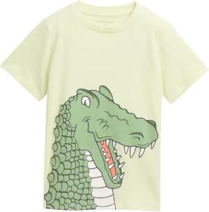 TOM TAILOR Jungen T-Shirt mit Print, grün, Uni, Gr. 104/110