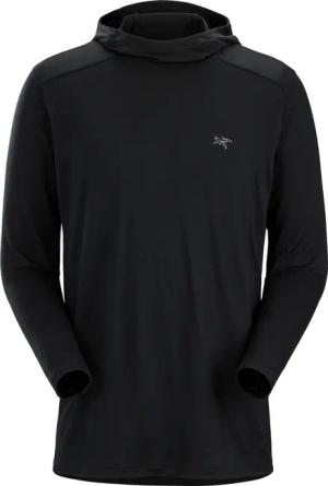 Arcteryx Herren Ionia Hoodie