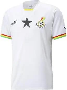Puma  T-Shirts & Poloshirts 765780-01