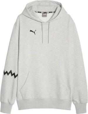 Puma Hoops Team Hoody Grau