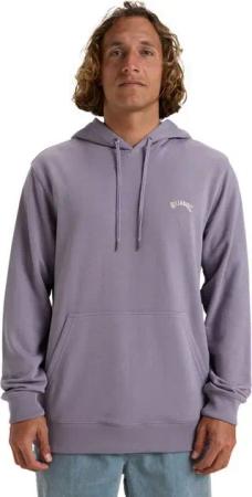 Billabong Hoodie Arch