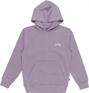 Billabong Hoodie Arch