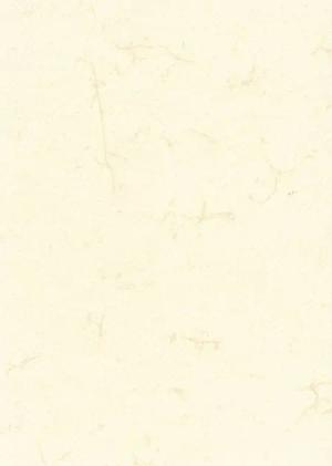 RNK Verlag Geschäftspapier 2863 Dokumentenpapier (Elefantenhautpapier), 110g/qm, weiß, DIN A4