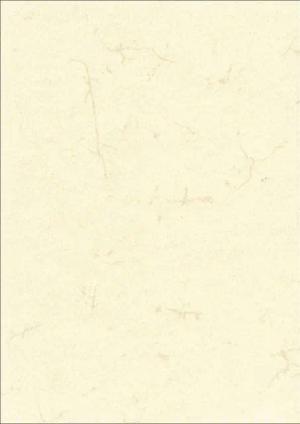 RNK Verlag Geschäftspapier 2859 10er Dokumentenpapier (Elefantenhautpapier) 190g/qm weiß DIN A3