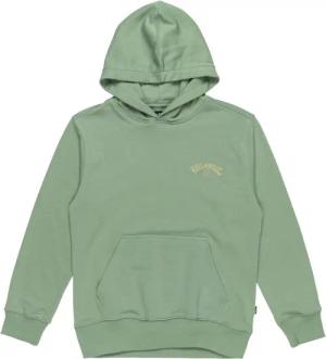 Billabong Hoodie "Foundation"