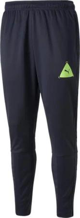 PUMA Trainingshose Puma Herren Trainingshose Puma Fußball Park Pants 658066