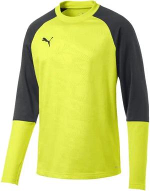 PUMA Fleecepullover Puma Herren Pullover Cup Training Sweat Core 656021
