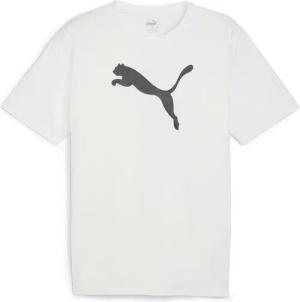 PUMA T-Shirt Puma Kinder T-Shirt teamRISE Logo Jersey Cotton Jr 658707
