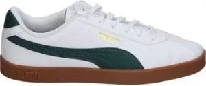 Puma Schuhe 397445-08