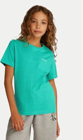 Calvin Klein Jeans T-Shirt IU0IU00683 Grün Regular Fit