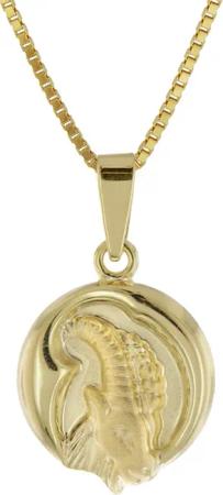 trendor 41088-1 Steinbock Sternzeichen Gold 333/8K mit goldplattierter Kette