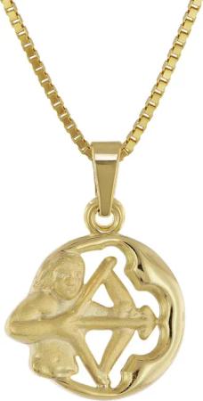trendor 41140-12 Schütze Sternzeichen Anhänger Gold 333 + vergoldete Kette