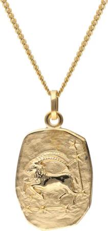 trendor 15404-01 Steinbock Sternzeichen Gold 333 mit vergoldeter Silberkette
