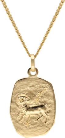 trendor 15404-04 Widder Sternzeichen Gold 333 / 8K mit vergoldeter Silberkette