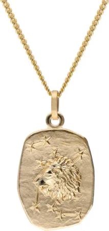 trendor 15404-08 Löwe Sternzeichen Gold 333 / 8K mit vergoldeter Silberkette