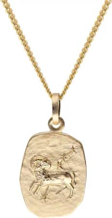 trendor 15436-04 Widder Sternzeichen Gold 585 mit vergoldeter Silberkette