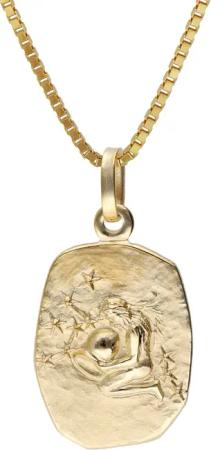 trendor 15382-02 Wassermann Sternzeichen Gold 333 mit vergoldeter Silberkette
