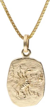 trendor 15382-11 Skorpion Sternzeichen Gold 333 mit vergoldeter Silberkette
