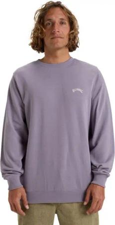 Billabong Sweatshirt Arch