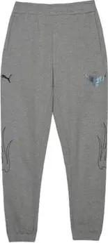 Puma  Trainingsanzüge 625992-02