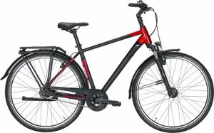 Pegasus Premio SL HS-i 8, 8 Gang Nabenschaltung mit Rücktritt, Herrenfahrrad, Diamant, Modell 2021, 28 Zoll 61 cm black matt/red
