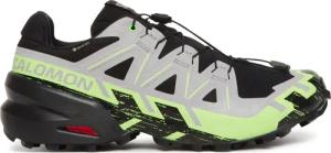 Salomon Laufschuhe Speedcross 6 Gore-Tex L47765000 Schwarz
