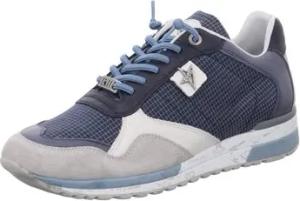 Cetti Halbschuhe Schnuerschuhe Sneaker C-848 XL EXP V25-ANTE-GRID NAVY