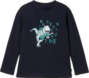 TOM TAILOR Jungen Langarmshirt mit Print, blau, Print, Gr. 116/122