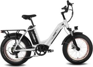 DOTMALL E-Bike HAOQl Fat Tire E bike 48V 25Ah herausnehmbarem Doppelakku