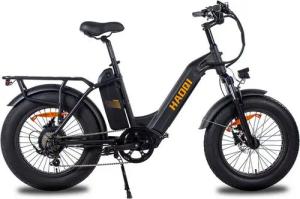 DOTMALL E-Bike HAOQl Fat Tire E bike 48V 25Ah herausnehmbarem Doppelakku