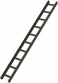 MUNK Dachleiter braun 10 Sprossen