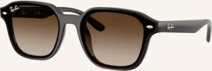 Ray-Ban Sonnenbrille RB4458D