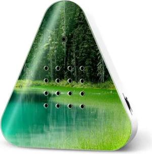Relaxound GmbH Wanddekoobjekt Lakesidebox Forest Lake