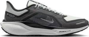 Laufschuhe Nike Pegasus 41 GORE-TEX
