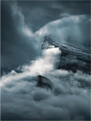 Komar Poster Arrowhead Natur B/L: ca. 30x40 cm