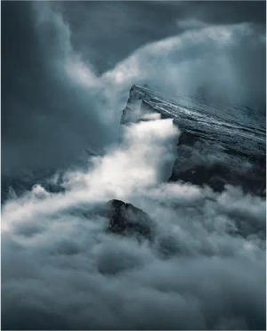 Komar Poster Arrowhead Natur B/L: ca. 40x50 cm