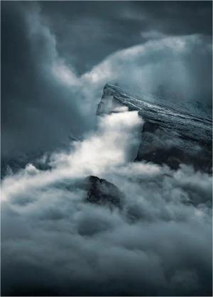 Komar Poster Arrowhead Natur B/L: ca. 50x70 cm