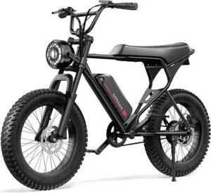 DOTMALL E-Bike E Bike 20 Zoll MACFOX 250W 48V 10.4Ah Mountain/City bike