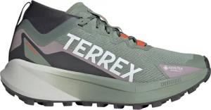 adidas Terrex Damen Agravic GTX Schuhe