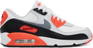 Nike Sneakers Air Max 90 Gtx GORE-TEX FD5810 Grau
