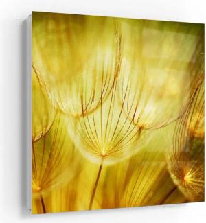 DEQORI Schlüsselkasten 'Goldener Hauch', Glas Schlüsselbox modern magnetisch beschreibbar